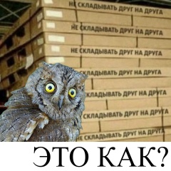 Анатолий Егоров, 29.07.1987, Алматы