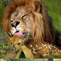 Дмитрий Гарлин, Мурманск