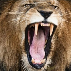 Виталий Самарский, 06.08, Мурманск