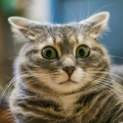 Евгений Янин, 09.08.1981, Знаменка