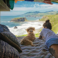 Ангелина Алейникова, 15.11