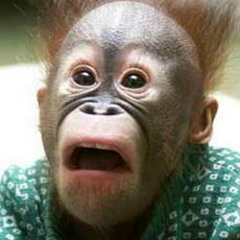 Сергей Московин, 05.07.1984, Киев