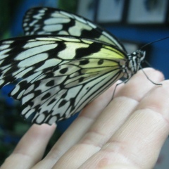 Людмила Васильева, 04.08.1985, Житомир