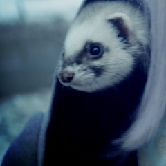 Анастасия Оленченко