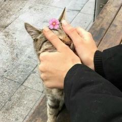 Madonna Hukaeva, 30.10.1993