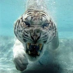 Олег Слободян, 14.02