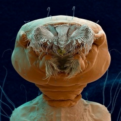 Дмитрий Котельников, 25.09.1968, Самара