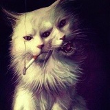 Vladimir Lukashev, 18.02