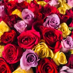 Аня Румянцева, 21.05.1988, Москва