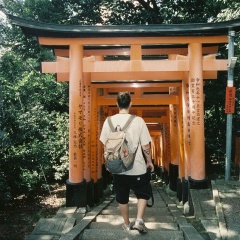 Владислав Долганов, Kamakura