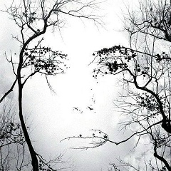 Ангел Пюкке, 14.07, Санкт-Петербург