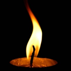 Дмитрий Карпов, Санкт-Петербург