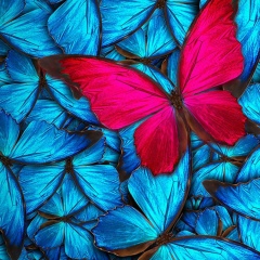 Жазира Жумажанова, 18.07.1986, Астана