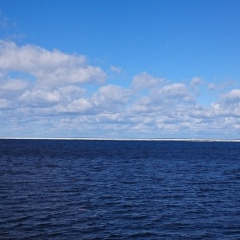 Ольга Быкова, 23.12