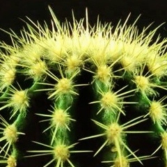 Павел Рогожко, Тюмень