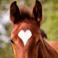 Мырзабек Суинов, 02.01.1988, Актау