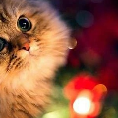 Наташа Дуйко, Харьков