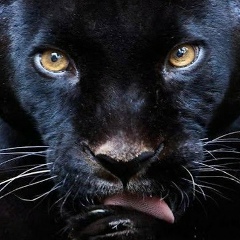 Надю Барковская, 23.07, Калининград