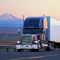 Роман Местный