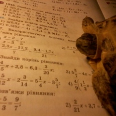 Олег Забанжало