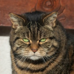 Виктория Конончук, 25.06, Москва