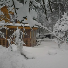 Татьяна Склеменова, Санкт-Петербург