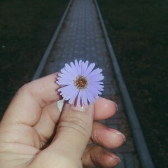 Айна Дадаева, 25.08.1985, Грозный