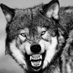 Валера Нейч, 23.04.1977, Ивье