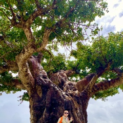 Денис Бачинский, 22.03