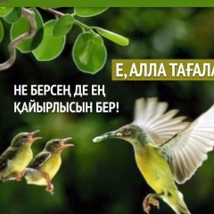 Гульнура Жаймурзаева, 03.12.1984, Шымкент