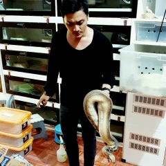 Nayoan Sandy, 11.04.1990