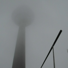 Анар Гасанов