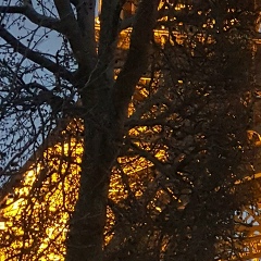 Асем Балгабаева, 11.05.1997