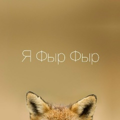 Анастасия Гартлиб, 11.04.1986, Сочи