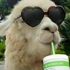 Rafinha Gineco, 24.05, Brasília