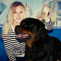 Sveta Rottweiler, 15.03