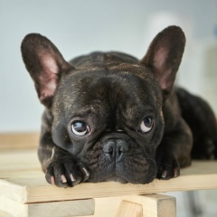 Анастасия Невская, 16.02, Ставрополь