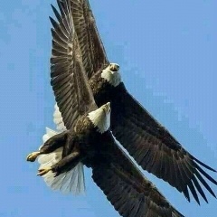 Алихан Шукиров, 07.03