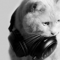 Николай Степовой, 05.01, Днепр (Днепропетровск)