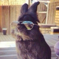 Женя Женя, 01.10.1988, Краснодар