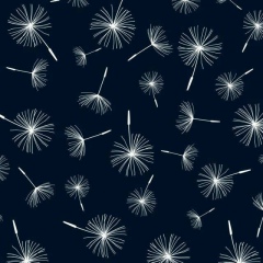 Angela Kaimova, 26.07, Грозный