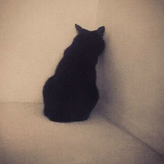 Dmitriy Kulabuhov, 19.01.1994