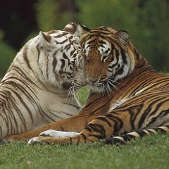 Saylaubay Erejepov, 13.08.1986, Москва