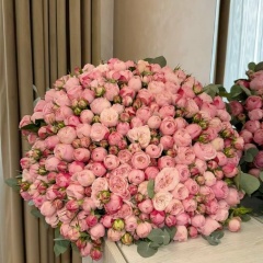 Гаухар Жусупбекова, 11.02, Петропавловск