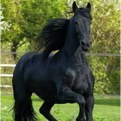 Самат Беспаев, 09.08.1985, Алматы