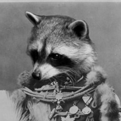 Павел Сацердов, 25.06, Санкт-Петербург