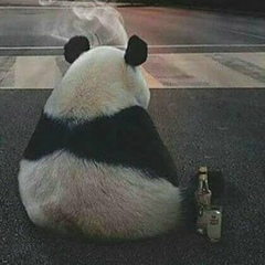Иван Яременко, Бердичев