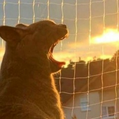 Евгений Валерьевич, 10.07.1990, Нижний Новгород