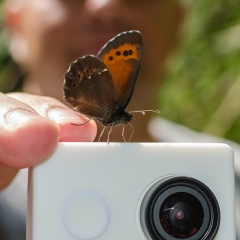 Александр Степанов, 03.01.1981, Днепр (Днепропетровск)