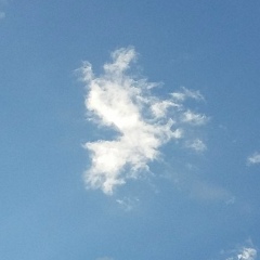 Алексей Рубцов, 15.10, New York City